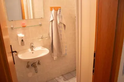 a bathroom with a sink and a mirror at Turistična kmetija Dreisiebner in Špičnik