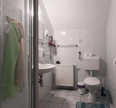 a bathroom with a toilet and a sink at Turistična kmetija Dreisiebner in Špičnik