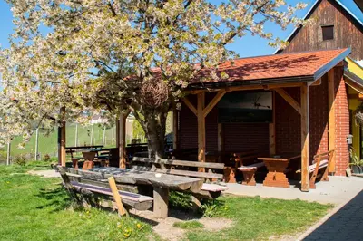 a wooden pavilion with a picnic table and a bench at Turistična kmetija Dreisiebner in Špičnik