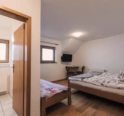 a bedroom with two beds and a television in it at Turistična kmetija Dreisiebner in Špičnik