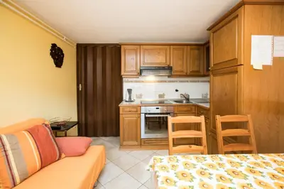 a kitchen with wooden cabinets and a couch in a room at Počitniška hiša Žvan in Bohinj