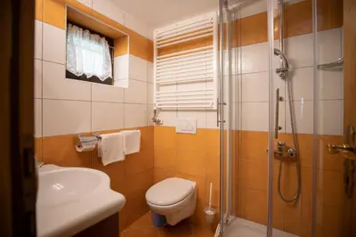 a bathroom with a shower and a toilet and a sink at Počitniška hiša Žvan in Bohinj