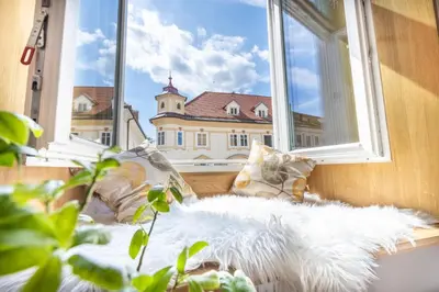 a white dog laying on a pillow in front of a window at Old Quarter Residence in Ljubljana