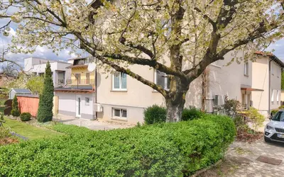 a house with a tree in front of it at Studio Southwest 3 with AirCon & FREE Parking in Ljubljana