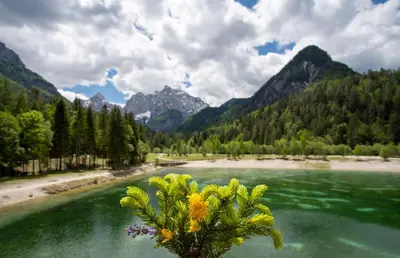 a view of a river with mountains in the background at Apartment Špica - Private parking in Kranjska Gora
