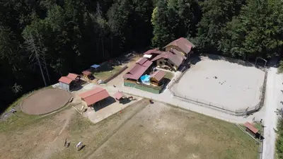 an overhead view of a house with a swimming pool at Vineyard Paradise Senica in Dramlje