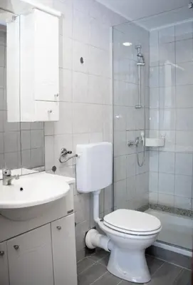 a bathroom with a toilet and a sink and a shower at Vineyard Paradise Senica in Dramlje