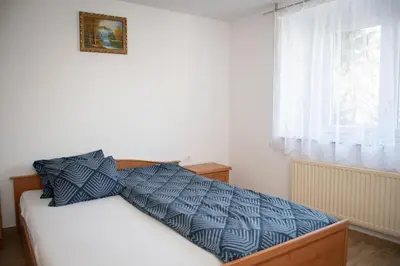 a bedroom with a bed with a blue comforter and a window at Vineyard Paradise Senica in Dramlje