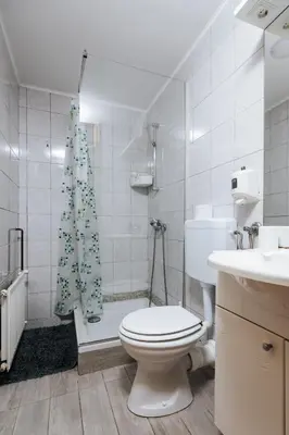 a bathroom with a toilet and a shower and a sink at Vineyard Paradise Senica in Dramlje