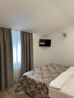 a bedroom with a bed and a window at Hotel Grahor Depandance in Sežana
