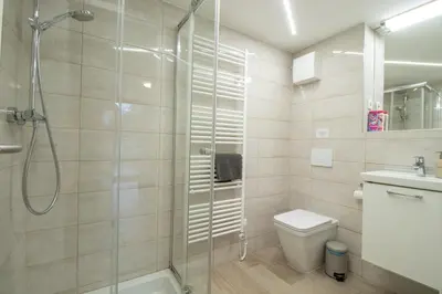 a bathroom with a shower and a toilet and a sink at Bohinj - Old Village House in Bohinj