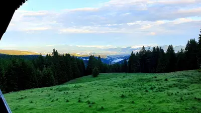 a view of a green hill with trees and mountains at Apartma Bellevue Rogla in Vitanje