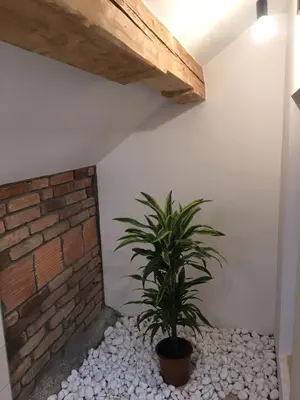 a plant in a room next to a brick wall at Kasita Bled Apartments in Bled