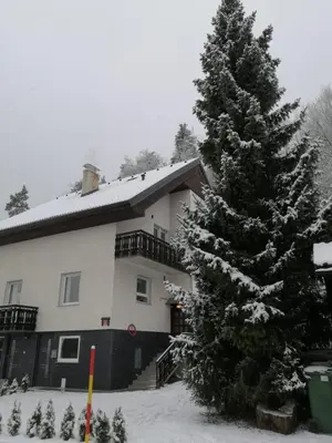 a house with a snow covered tree in front of it at Kasita Bled Apartments in Bled