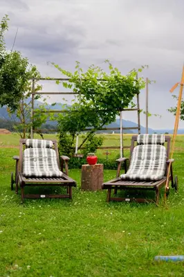two chairs sitting in the grass in a field at APARTMA RANČ LUŽE in Kranj