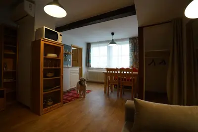 a dog standing in a living room next to a kitchen at Martin's Hidden Garden in Ljubljana