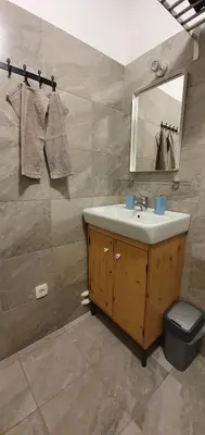 a bathroom with a sink and a mirror at Martin's Hidden Garden in Ljubljana