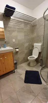 a bathroom with a shower and a toilet and a sink at Martin's Hidden Garden in Ljubljana
