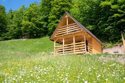 a small wooden cabin in a field of flowers at Glamping Laze in Gorenja Vas