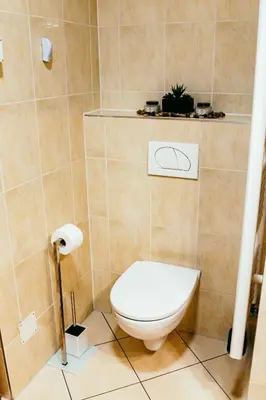 a bathroom with a toilet and a plant on a shelf at HERMES APARTMENT & 2 free garage secured parkings in Ljubljana