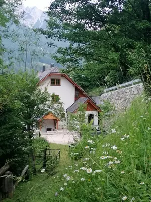 a house in the middle of a field at Apartment Erlah in Rateče