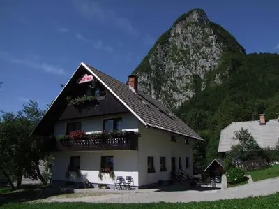a house with a mountain in the background at Apartments Jože Pekovec in Bohinj