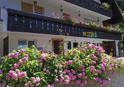 a bunch of flowers in front of a building at Accommodation Destina, LAKE BOHINJ in Bohinj