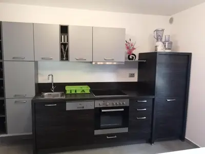 a black kitchen with a stove and a sink at APP Vanja 6170 in Čatež ob Savi