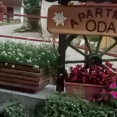 ODAI