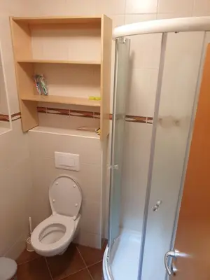 a small bathroom with a toilet and a shower at Apartma DA-LI SPORTS -ROGLA in Zreče