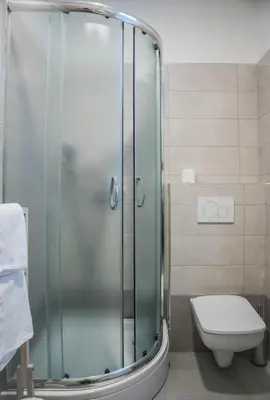 a glass shower in a bathroom with a toilet at Jantar Apartmaji in Novo Mesto