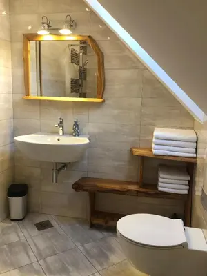 a bathroom with a sink and a toilet and a mirror at Apartmaji Kramar Rateče in Kranjska Gora
