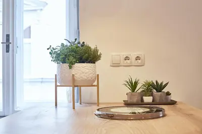 a dining room with potted plants and a chair at FERN apartments in Maribor