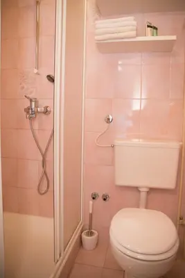 a bathroom with a toilet and a shower at Holiday Farm Grofija in Ivančna Gorica