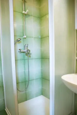 a bathroom with a shower and a sink at Holiday Farm Grofija in Ivančna Gorica