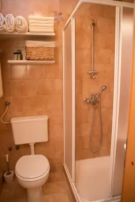 a small bathroom with a toilet and a shower at Holiday Farm Grofija in Ivančna Gorica