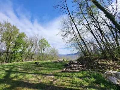 a grassy hill with trees on the side of it at Koča sredi gozda in Kanal