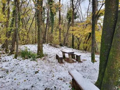 two benches in a snow covered forest with trees at Koča sredi gozda in Kanal
