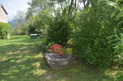 a garden with a flower pot and a bush at Barbara`s Village House in Ilirska Bistrica