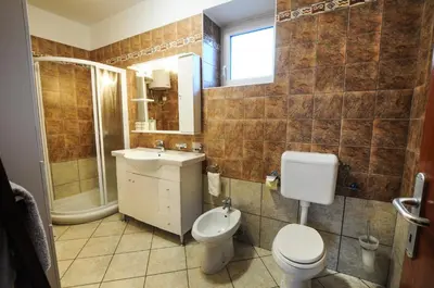 a bathroom with a toilet and a sink and a shower at Barbara`s Village House in Ilirska Bistrica