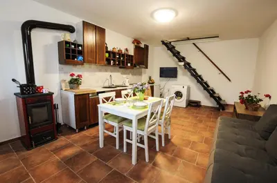 a kitchen and living room with a table and chairs at Barbara`s Village House in Ilirska Bistrica