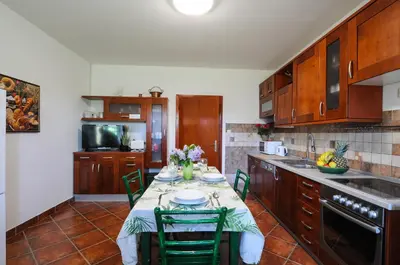 a kitchen with a table with green chairs in it at Barbara`s Village House in Ilirska Bistrica
