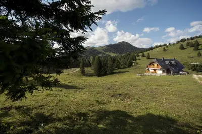 a house in the middle of a grassy field at Apartment Jezerca - Krvavec in Cerklje na Gorenjskem