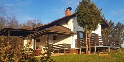 a house with a tree in front of it at Holiday house VilAna in Puconci