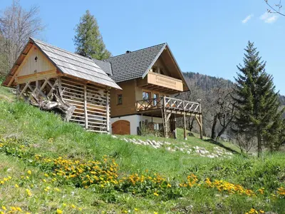a log cabin on a hill with a field of flowers at Podjelje in Podjelje