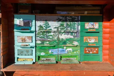 a green cabinet with pictures of animals on it at Apartment Pr' Kavač in Rateče