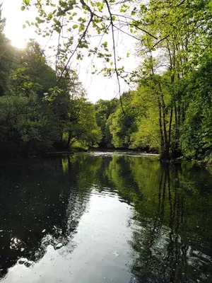 a river with trees on the side of it at House of Culture and Nature - Hiša Kulture in Nature in Zagradec