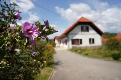 a white house with a flower in front of a house at House of Culture and Nature - Hiša Kulture in Nature in Zagradec