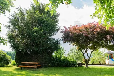 a park bench sitting in the grass next to a tree at APARTMA JANŠA in Bled