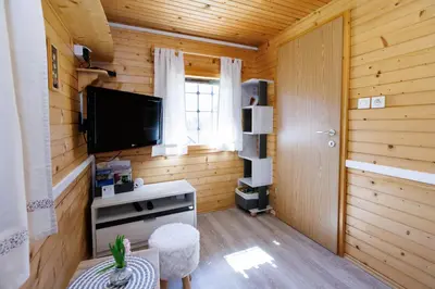 a living room with a television and a wooden wall at Počitniška hiša ErOs in Bohinj
